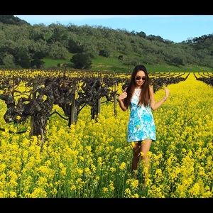 Lilly Pulitzer Pearl Lace Neck Shift Dress size 00